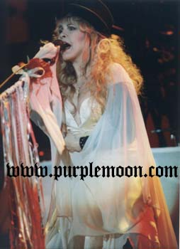 Stevie Nicks photographs