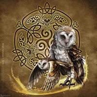 celtic owl sticker