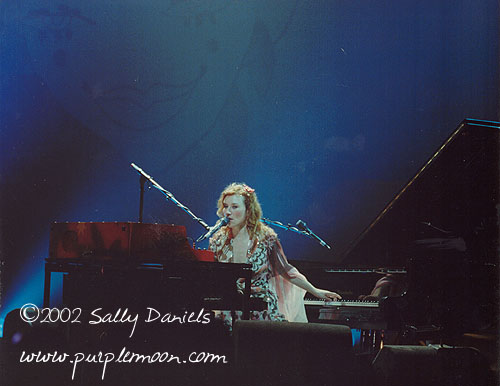 tori amos photo