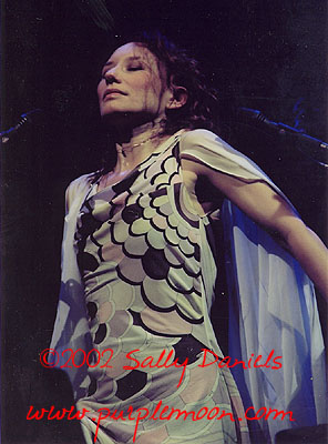 tori amos photo