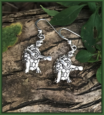 sterling silver terrapin earrings