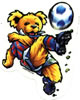 soccer bear magnet