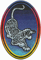 irwin tiger patch